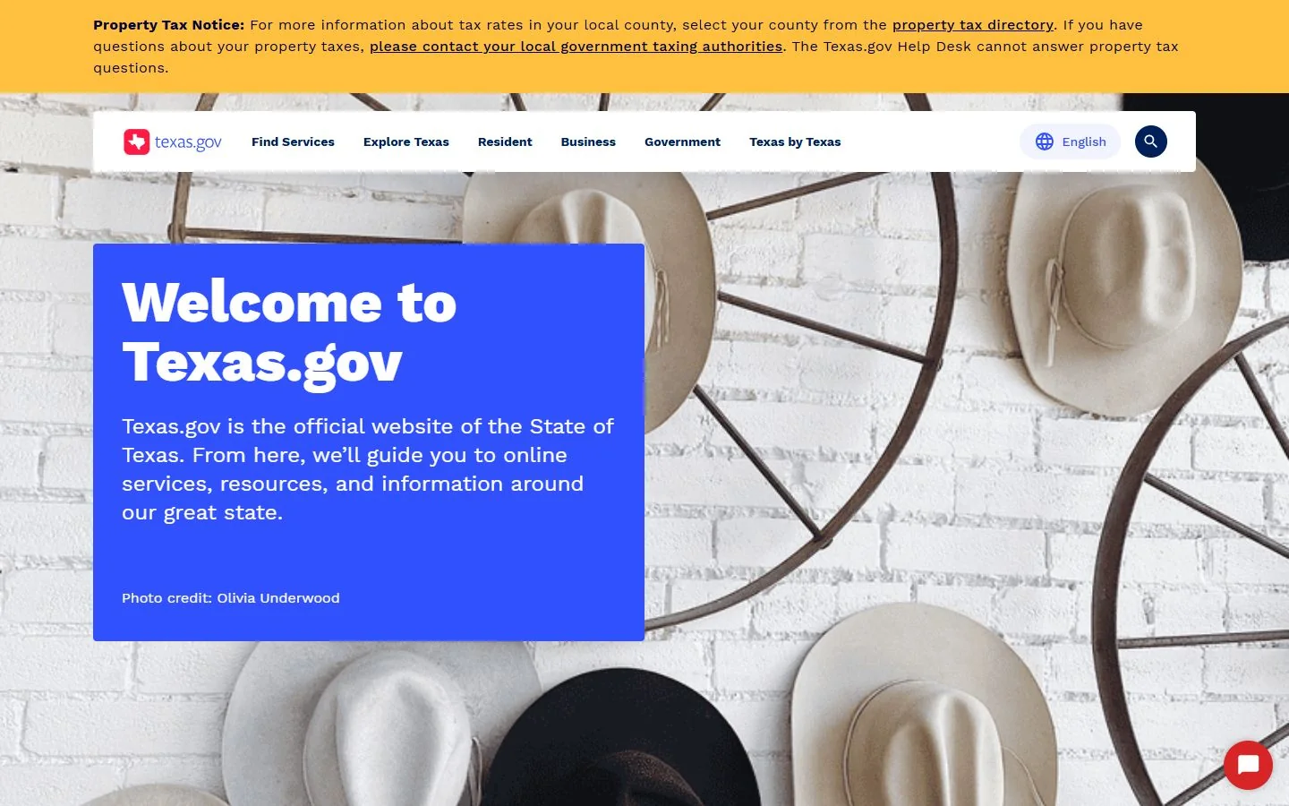 Texas · Website screenshot