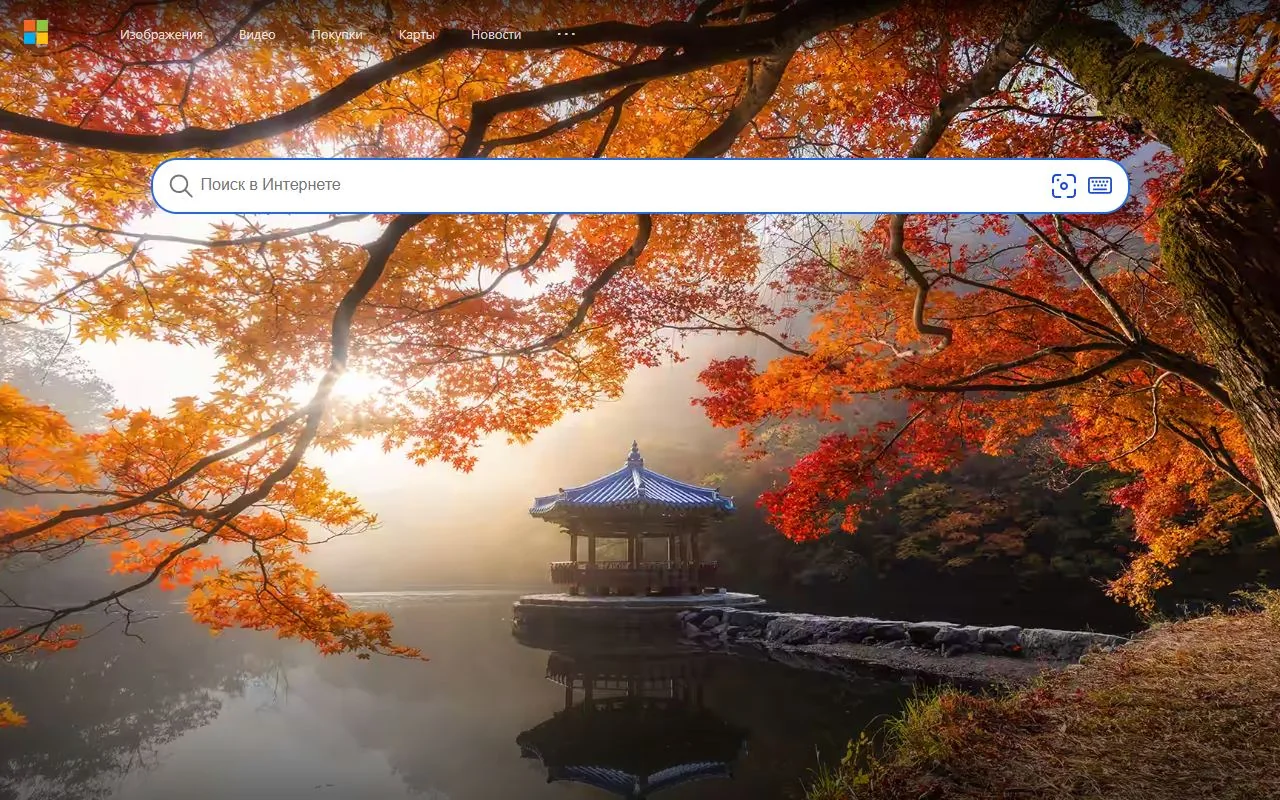 Bing – Ansicht der Anbieter-Website