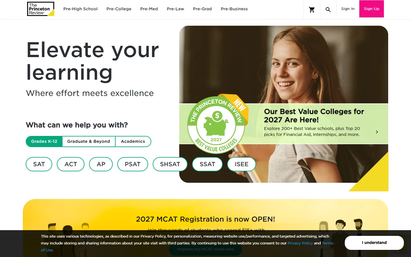 The Princeton Review · Website screenshot