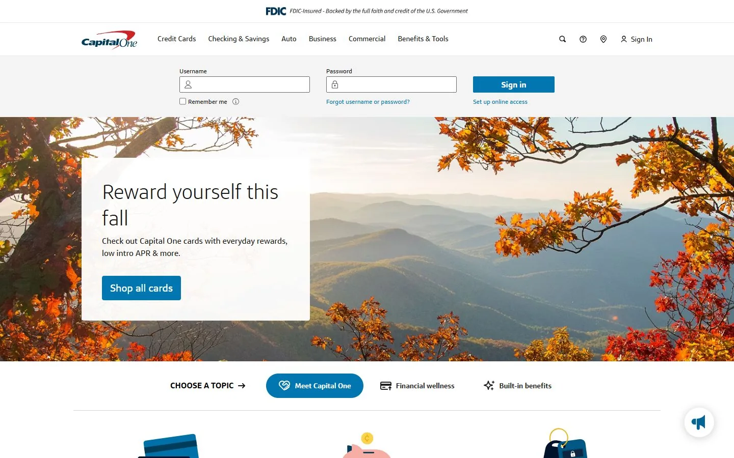 Capital One · Website screenshot