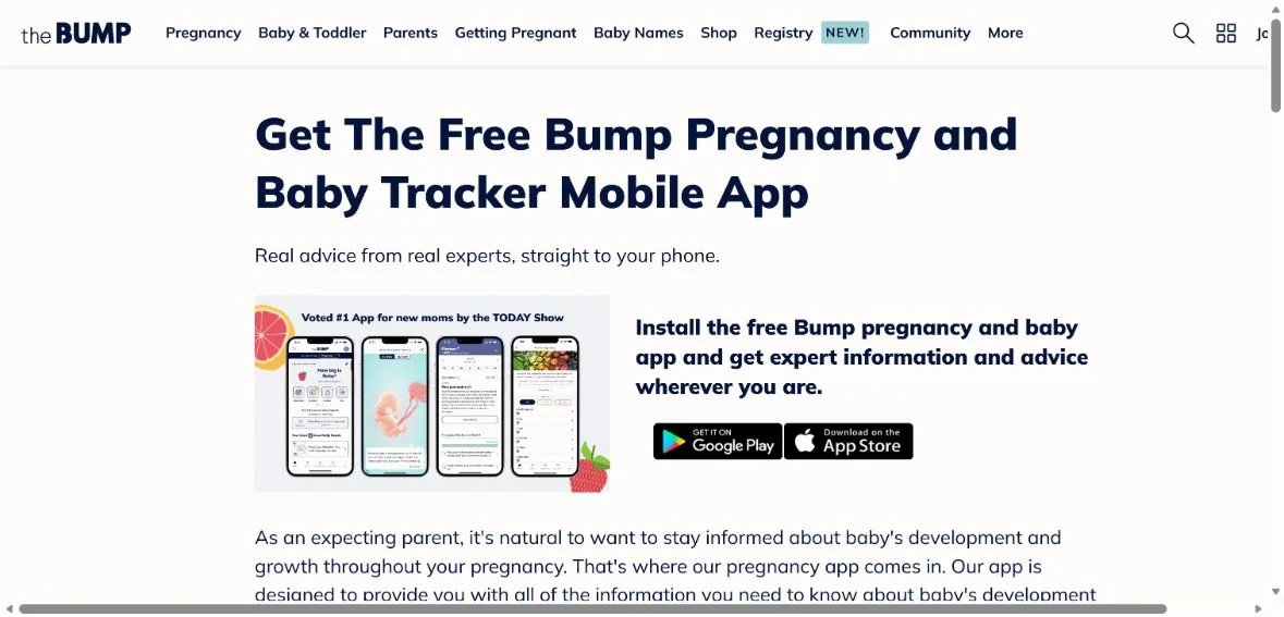 The Bump · Website screenshot