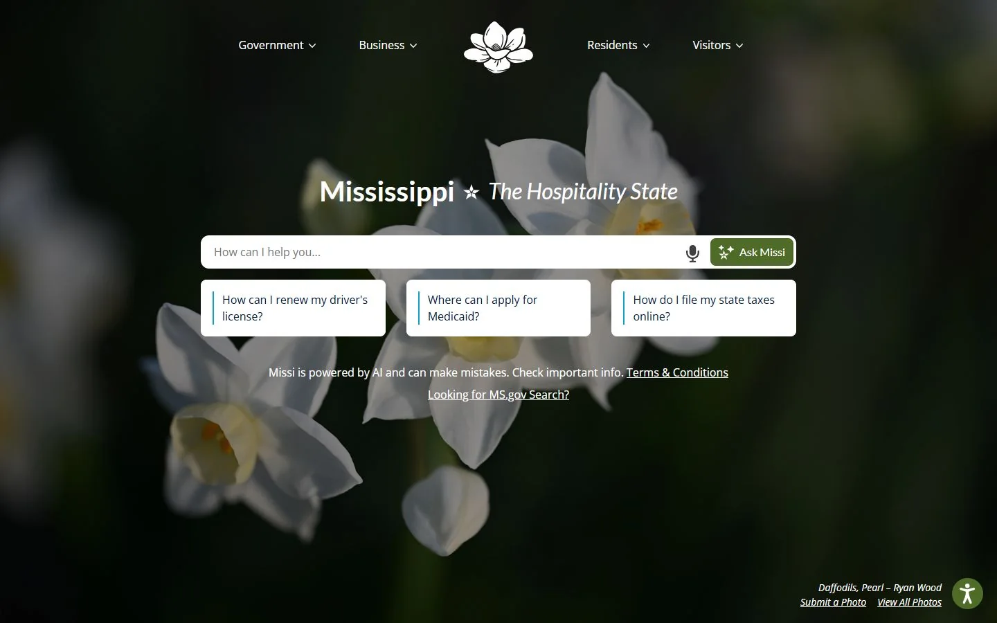Mississippi · Website screenshot