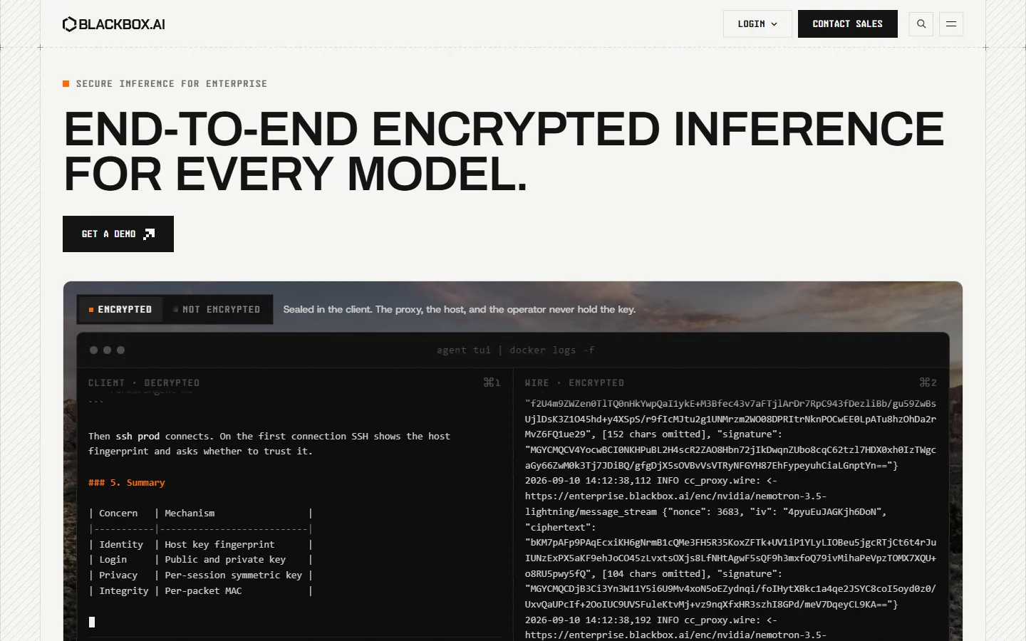 Blackbox AI · Website screenshot