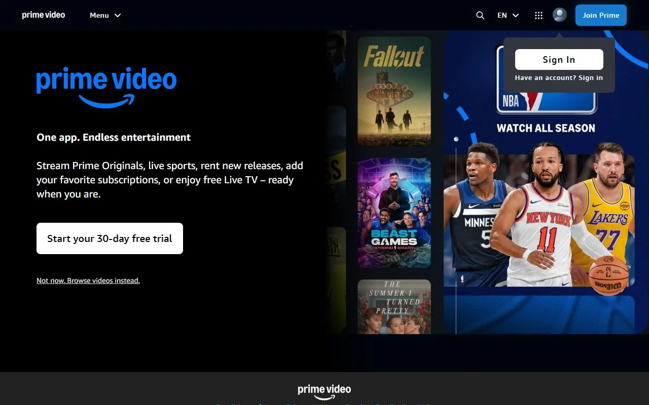 Prime Video – Ansicht der Anbieter-Website
