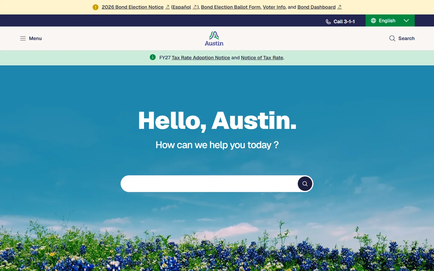 Austin · Website screenshot
